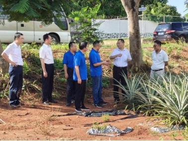 湛江市委书记刘红兵一行到农业机械研究所调研(经李所和方所审核)437.png 湛江市委书记刘红兵一行到农业机械研究所调研(经李所和方所审核)437.png